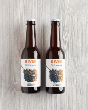 cerveza artesanaa española golden ale