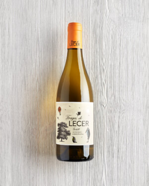 original taste vino fraga 0017